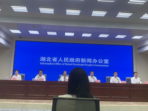 湖北加速設(shè)備更新浪潮 2027年前推動技術(shù)落后與節(jié)能環(huán)保不達標設(shè)備全面升級